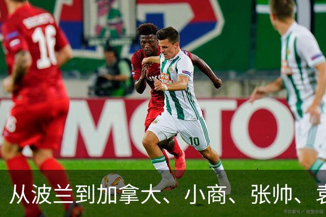 从波兰到加拿大、小商、张帅、袁悦走出连败，证明自己尚可一战